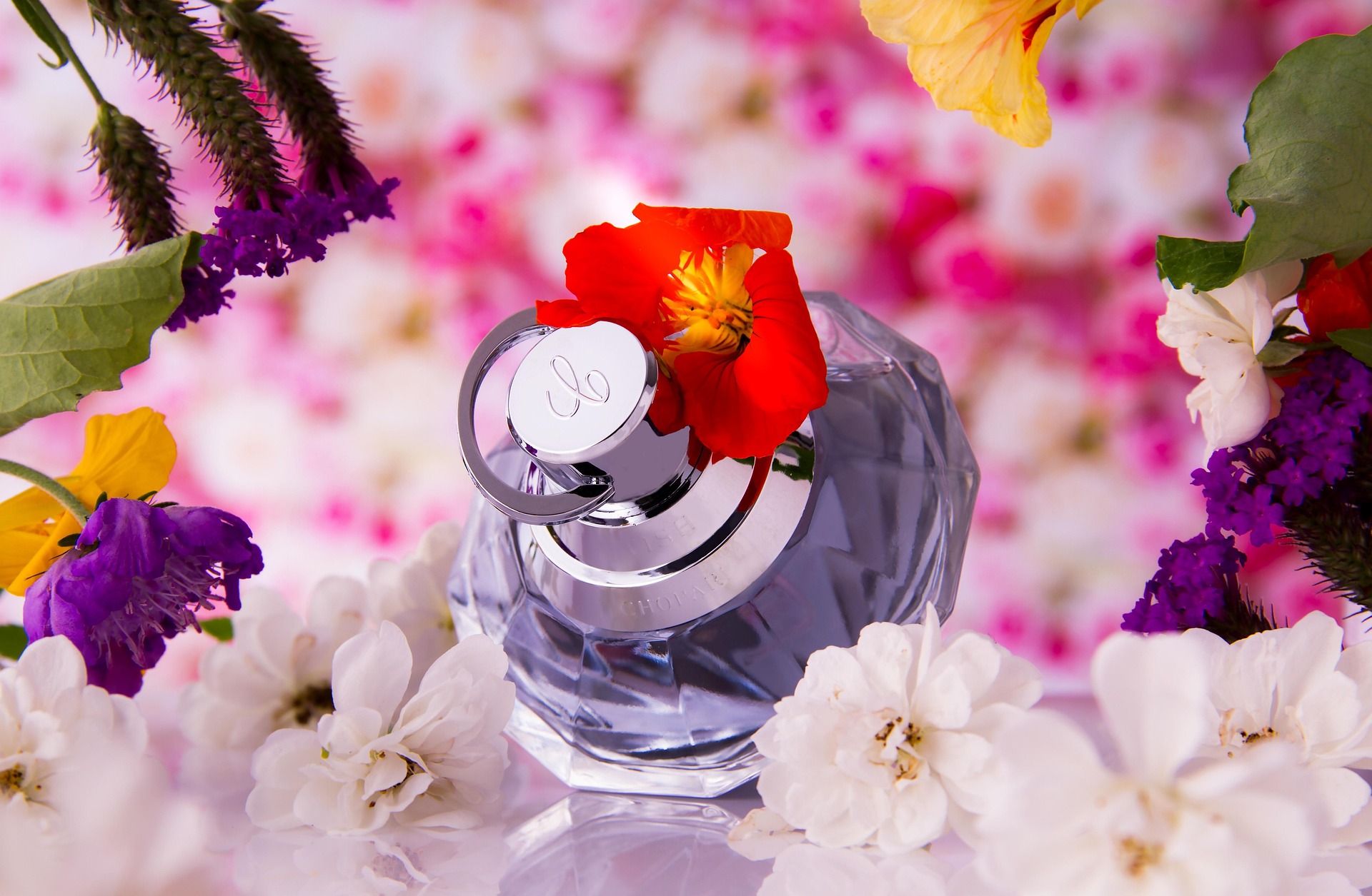 Fragrances, Personal & Home Care - aromaLAB