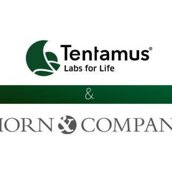 Tentamus_Horn_Company